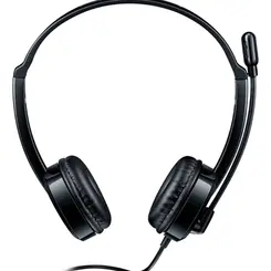 HEADSET (C/FIO) RAPOO H100